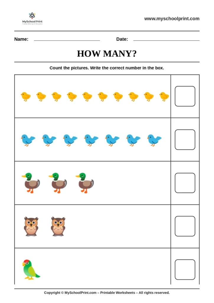 Count and write worksheet 8