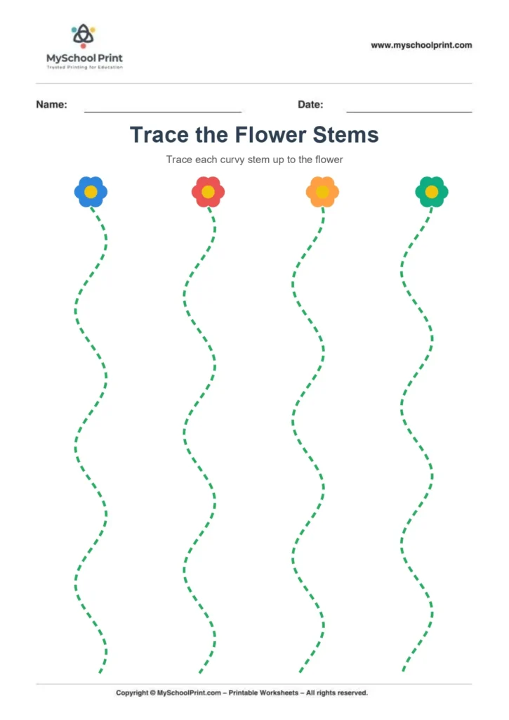 Curve tracing worksheet 8