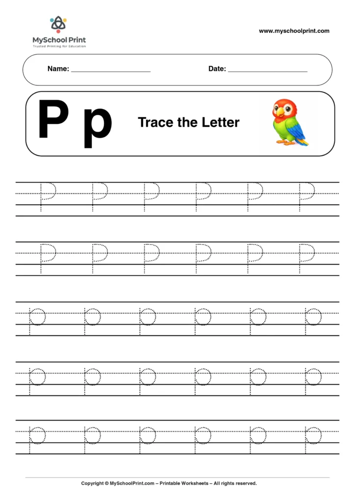 P tracing worksheet for preschool and kindergarten