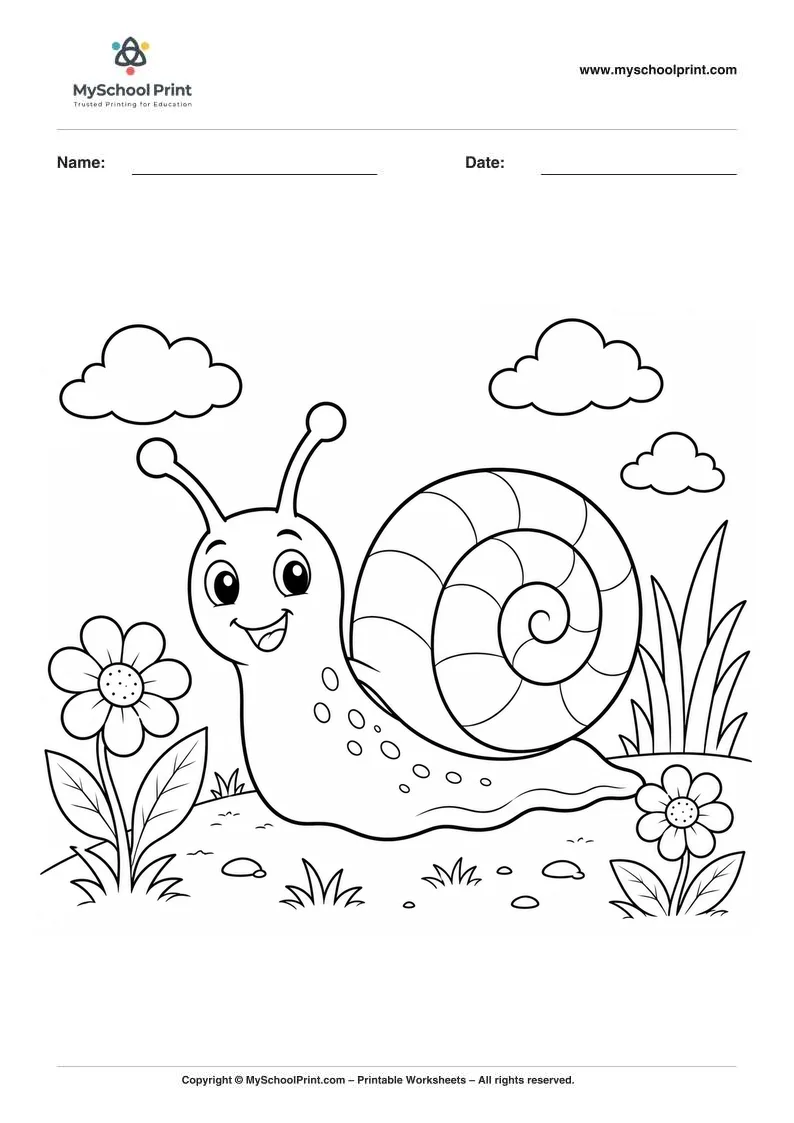 Snail coloring page for kids