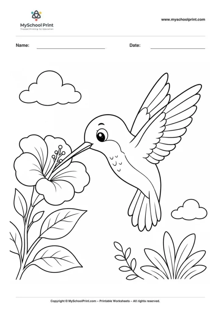 Hummingbird coloring page for kids