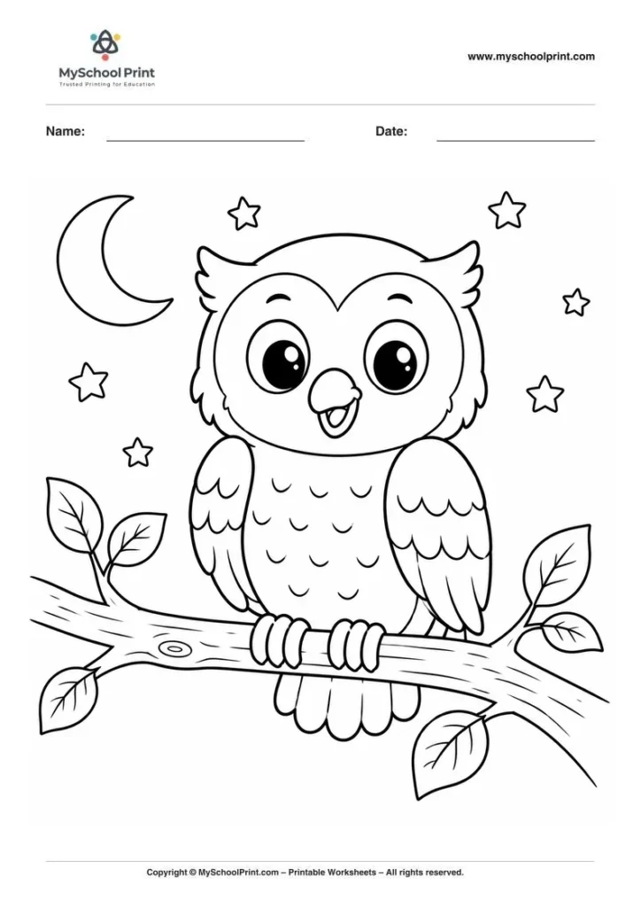 Owl coloring page for kids