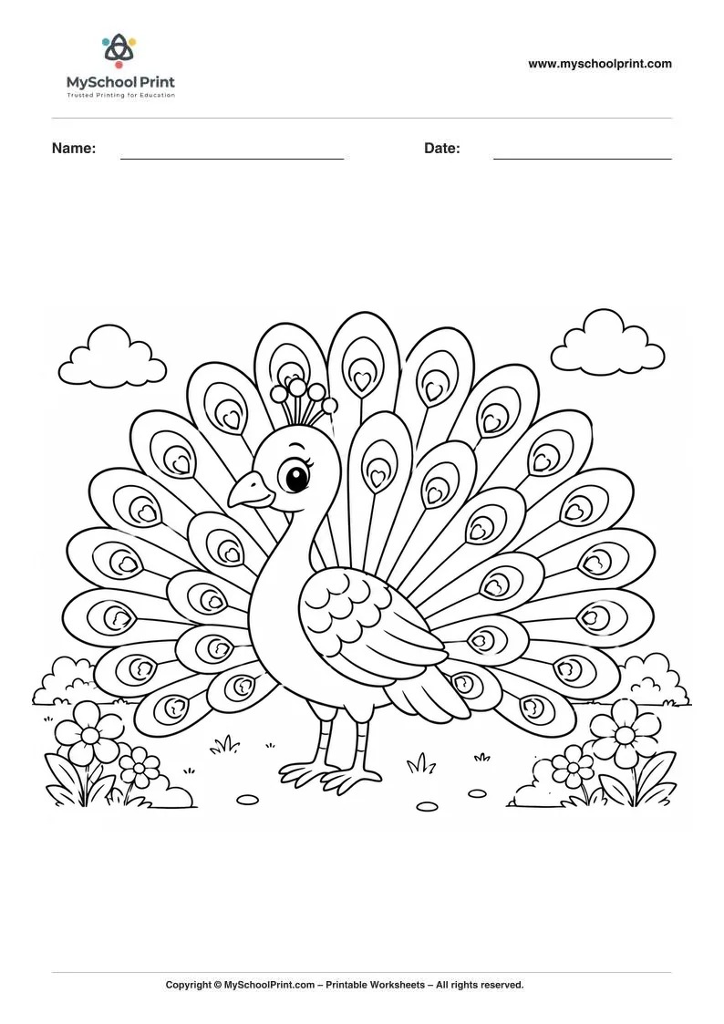 Peacock coloring page for kids
