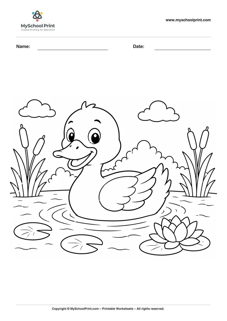 Duck coloring page for kids