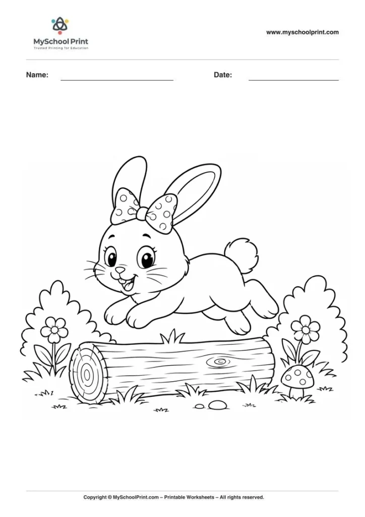 Rabbit coloring page for kids