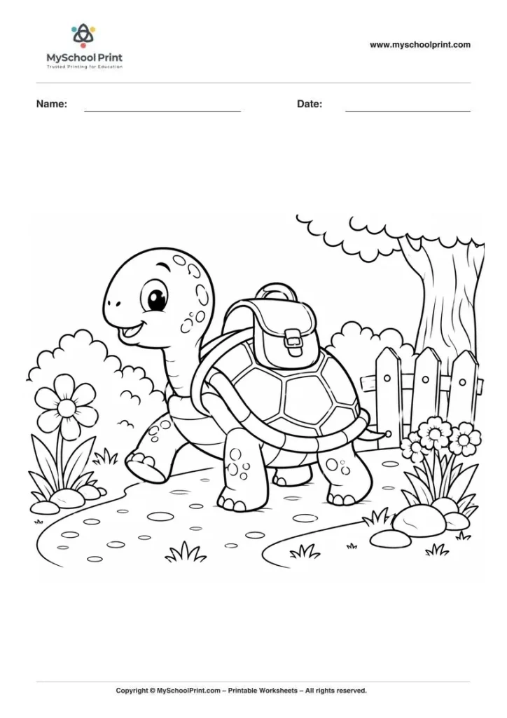Turtle coloring page for kids