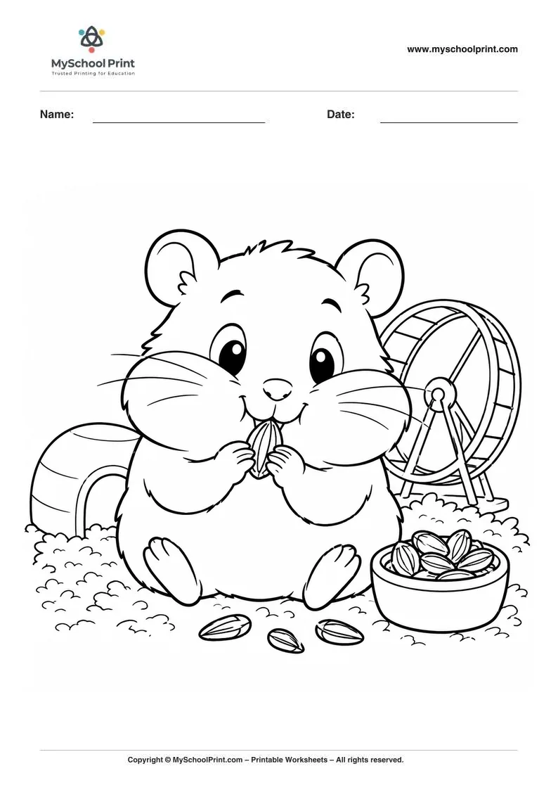 Hamster coloring page for kids