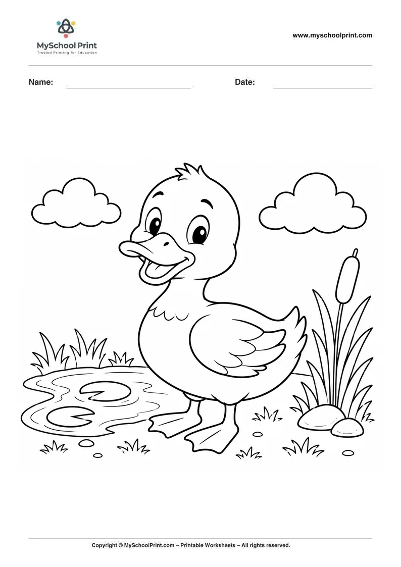 Duck coloring page for kids