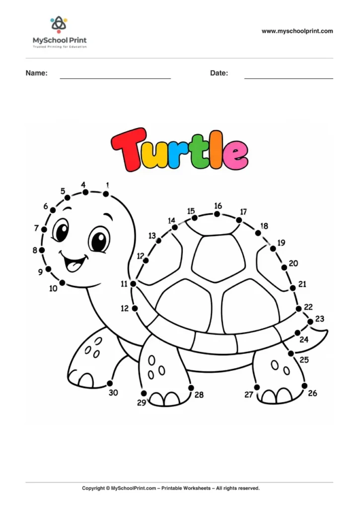 Dot to Dot Turtle Coloring Worksheet for Kids