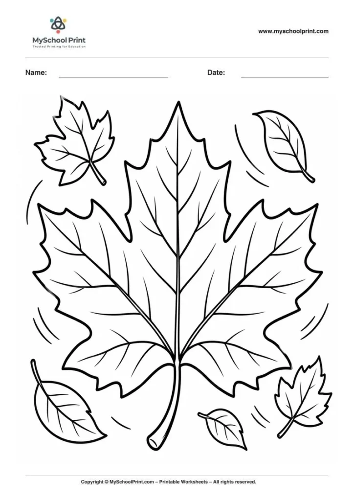 autumn leaf coloring page coloring page for kids