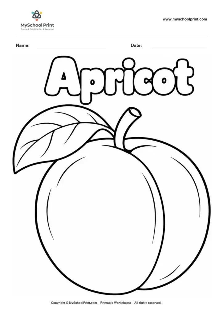 Apricot fruit coloring page for kids