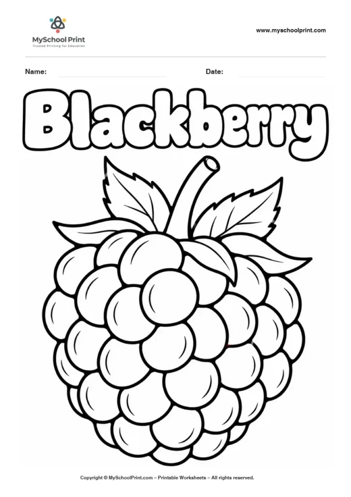 Blackberry fruit coloring page for kids