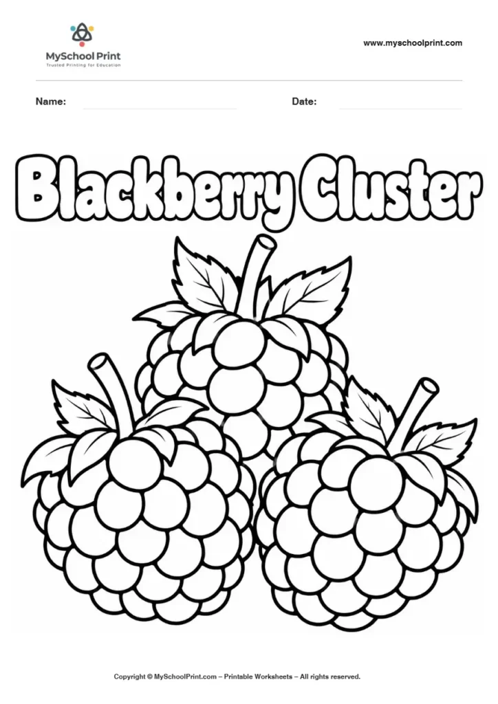 Blackberry Cluster fruit coloring page for kids