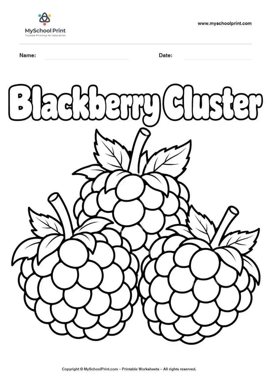 Worksheets Blackberry Cluster fruit coloring page for kids