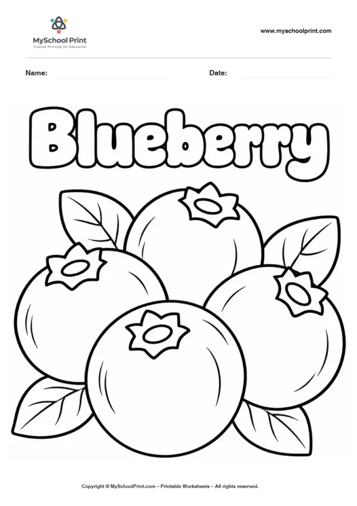 Blueberry Cluster fruit coloring page for kids