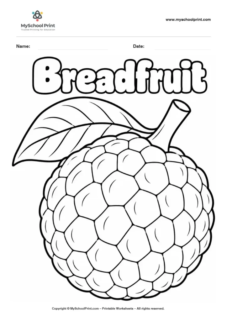 Breadfruit fruit coloring page for kids