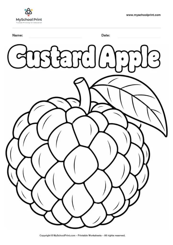 Custard Apple fruit coloring page for kids