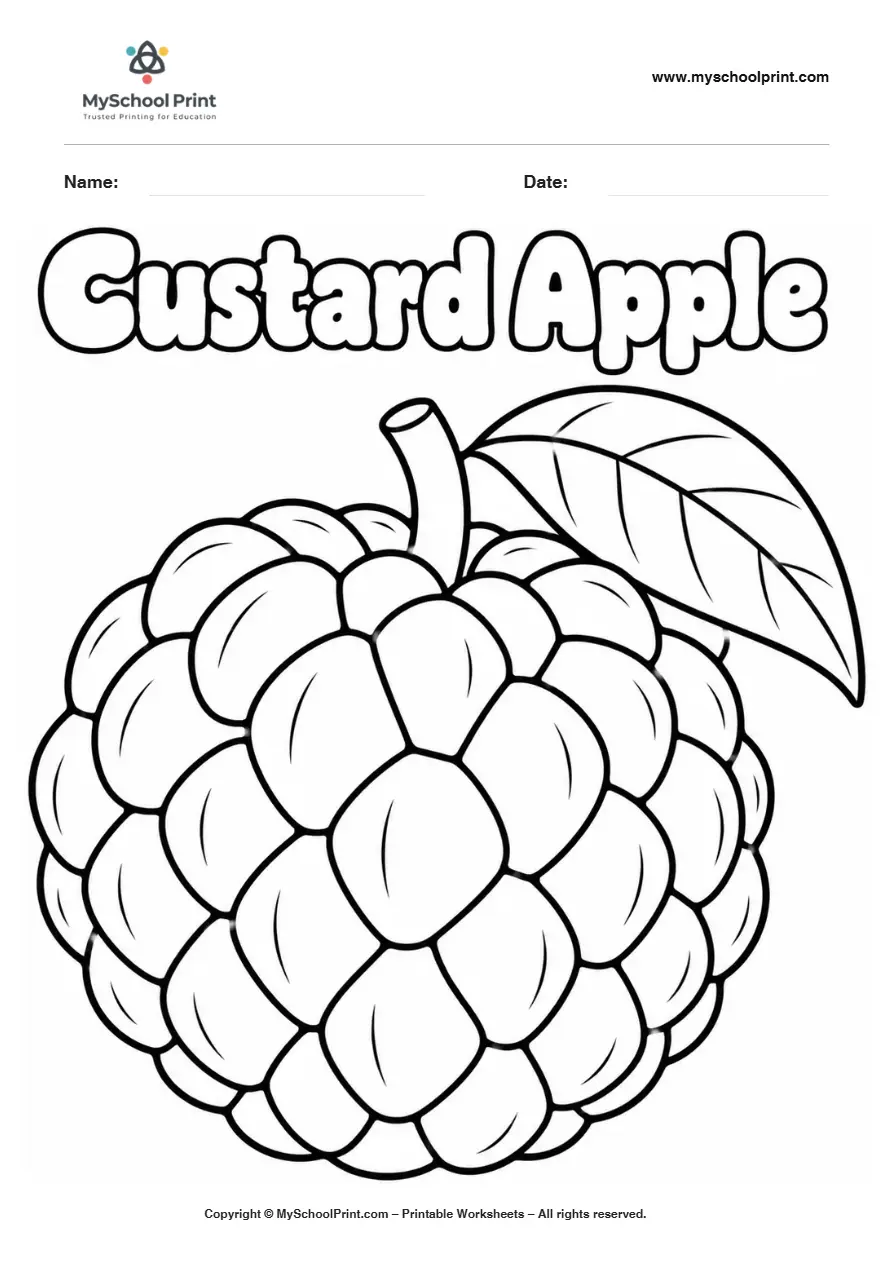 Worksheets Custard Apple fruit coloring page for kids