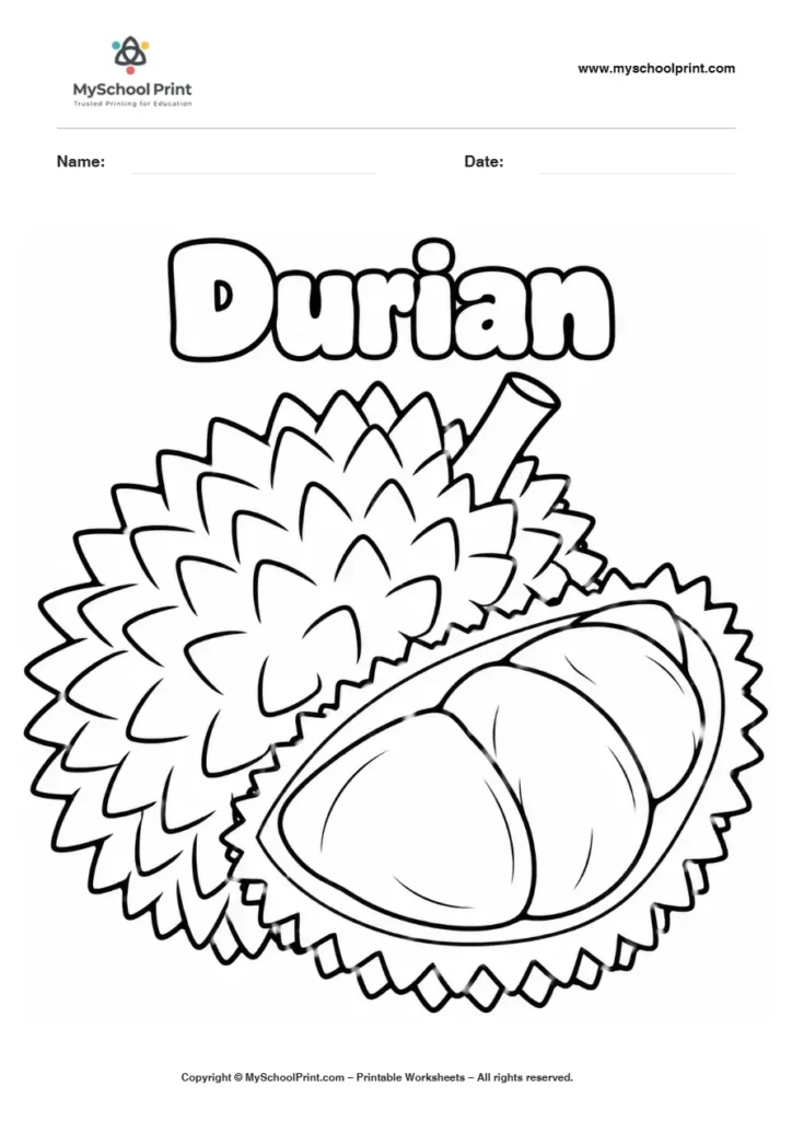 Durian fruit coloring page for kids
