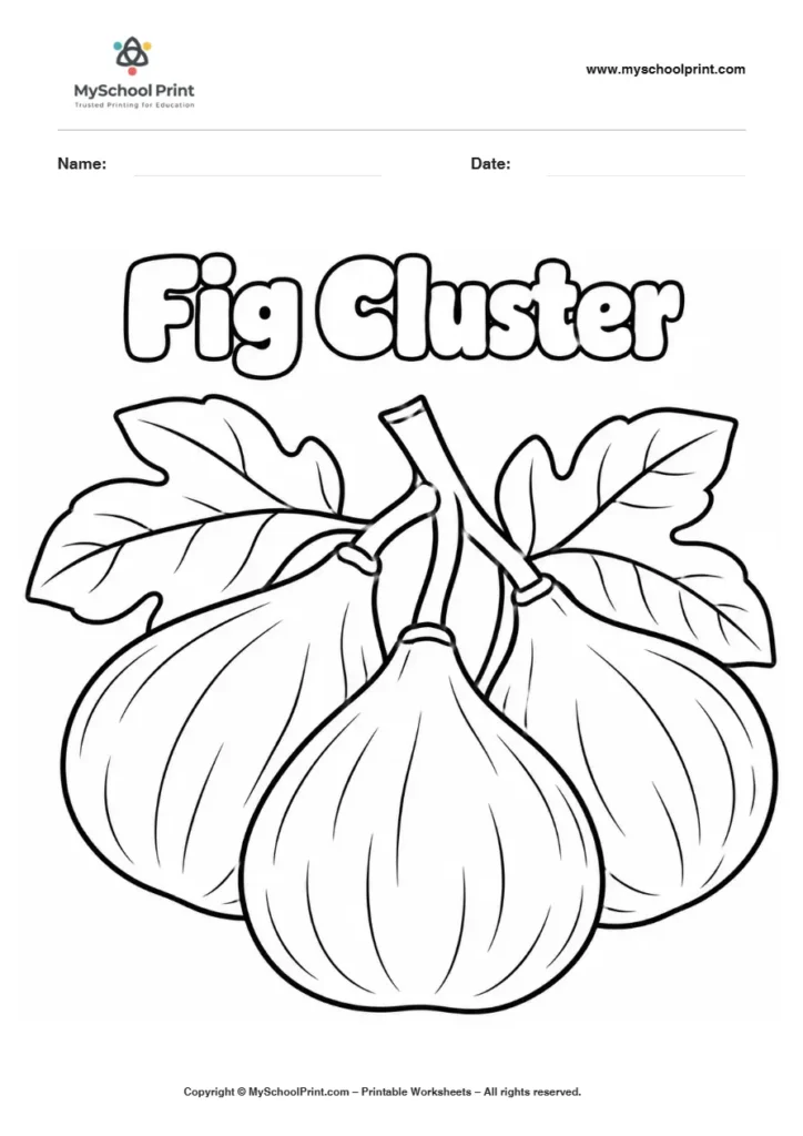 Fig Cluster fruit coloring page for kids