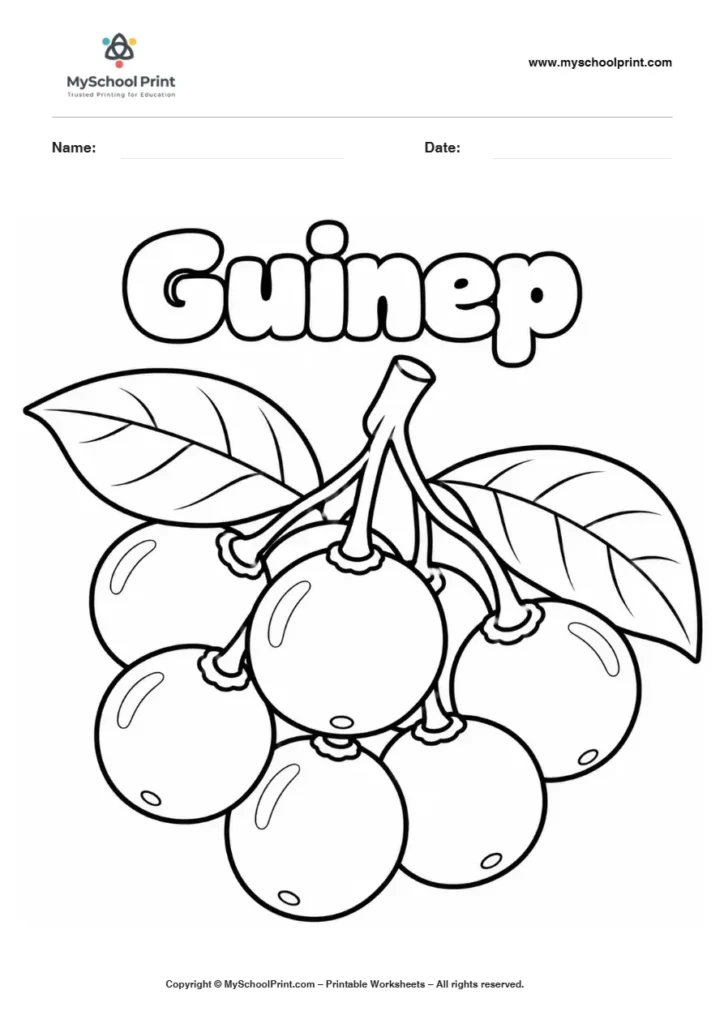 Guinep Fruit fruit coloring page for kids