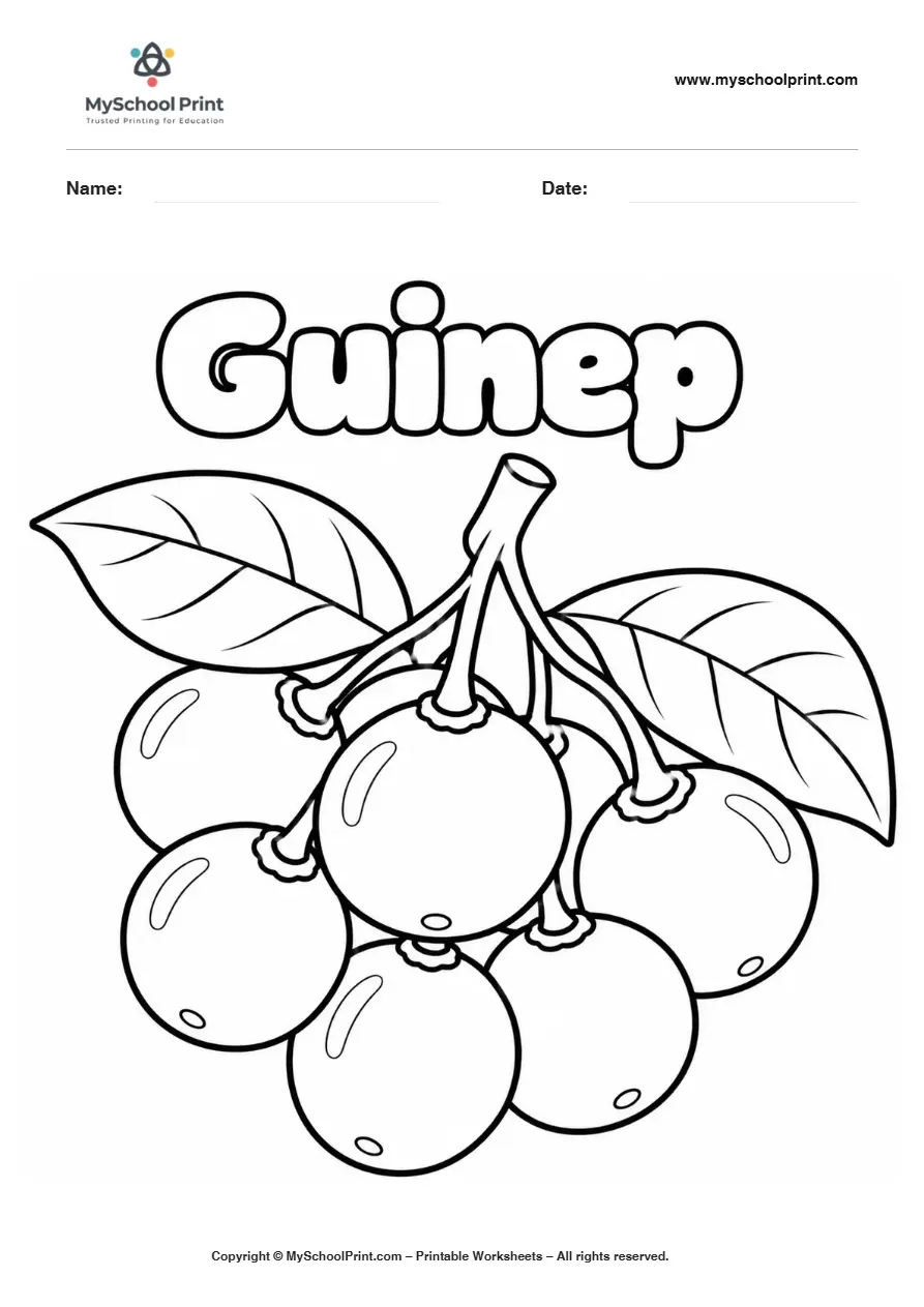 Worksheets Guinep Fruit fruit coloring page for kids