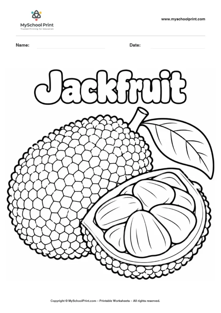 Jackfruit fruit coloring page for kids