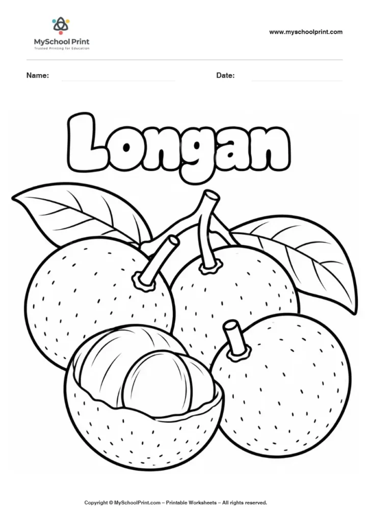 Longan Fruit fruit coloring page for kids