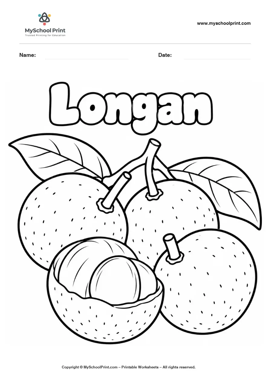 Worksheets Longan Fruit fruit coloring page for kids