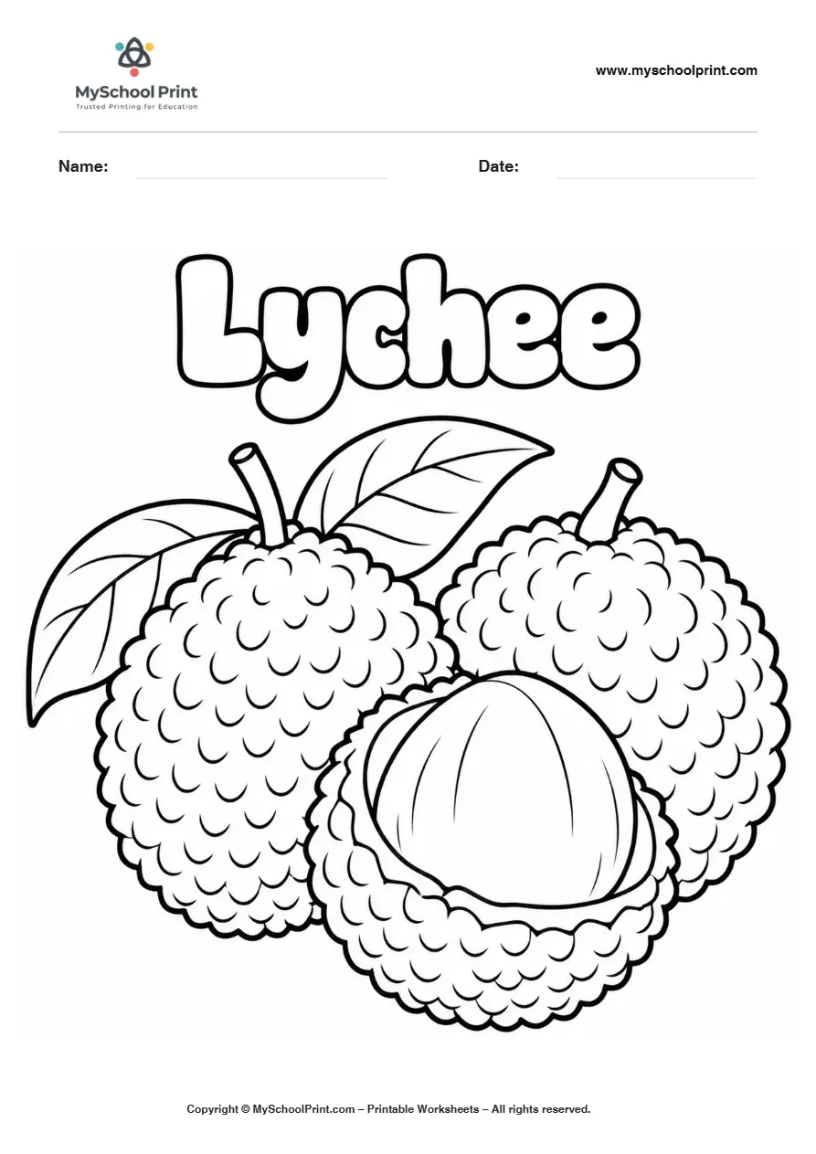 Worksheets Lychee Fruit fruit coloring page for kids