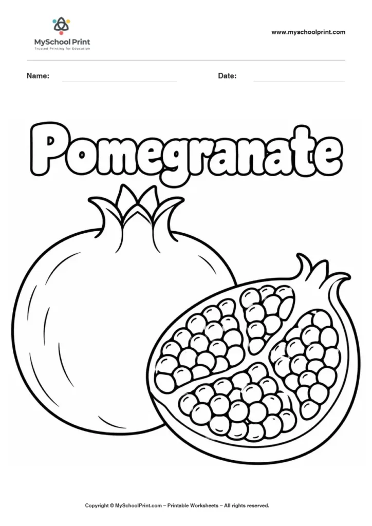 Pomegranate fruit coloring page for kids