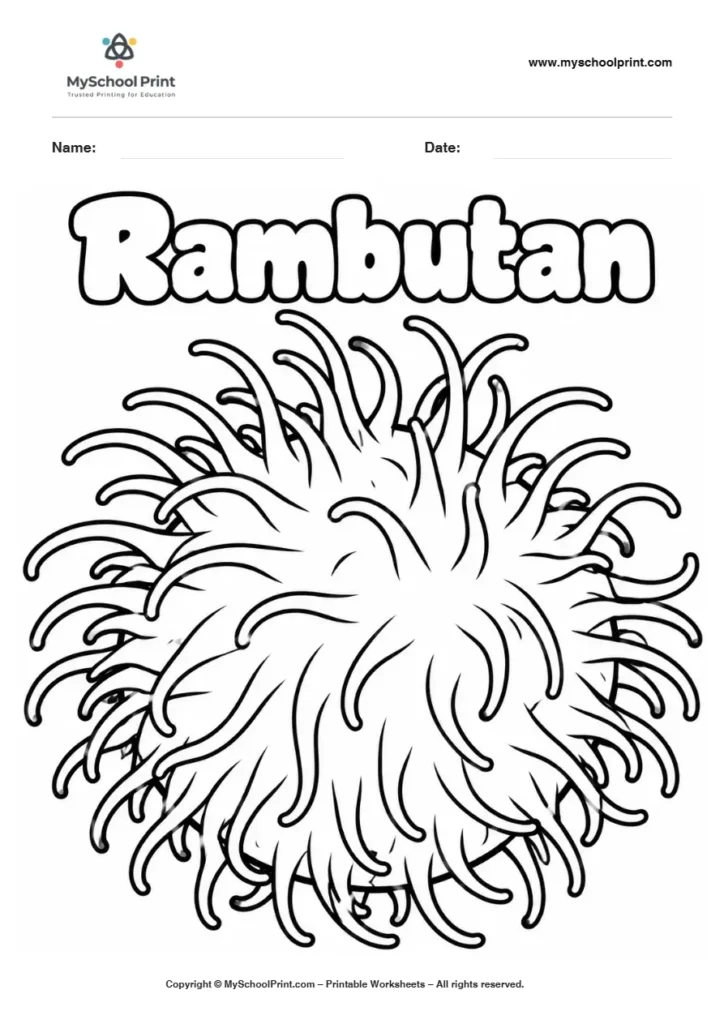 Rambutan fruit coloring page for kids