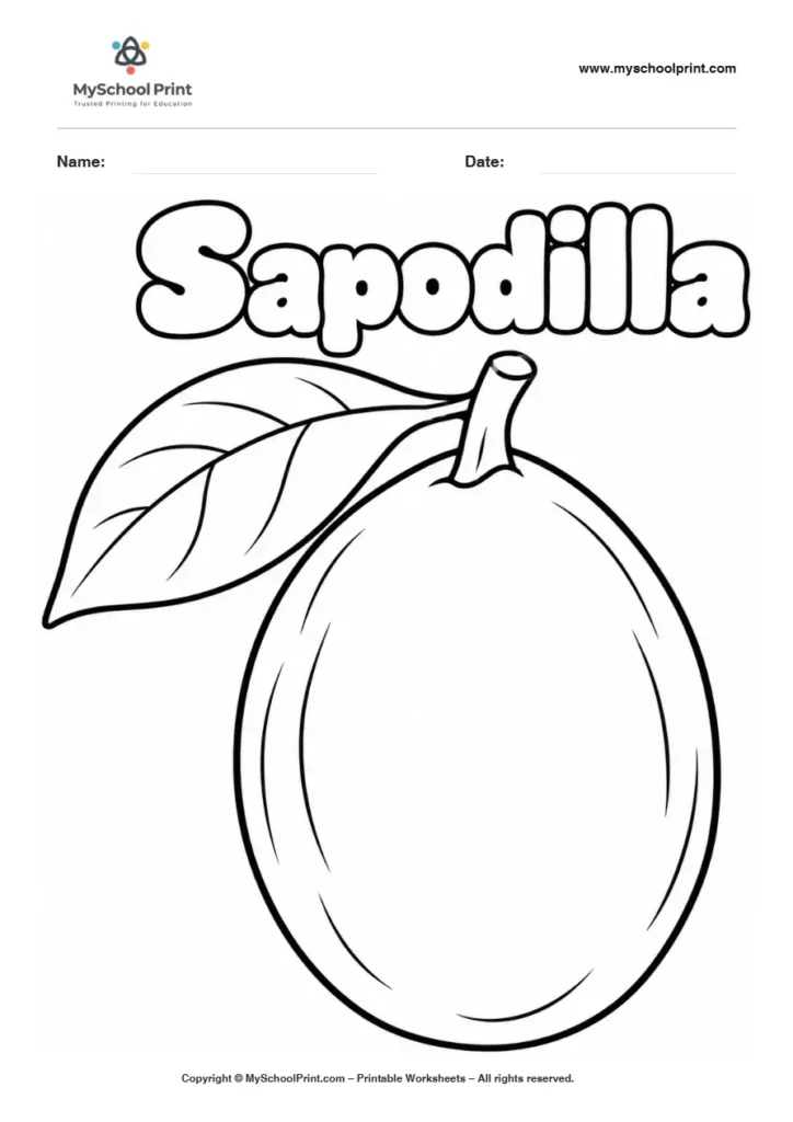Sapodilla fruit coloring page for kids