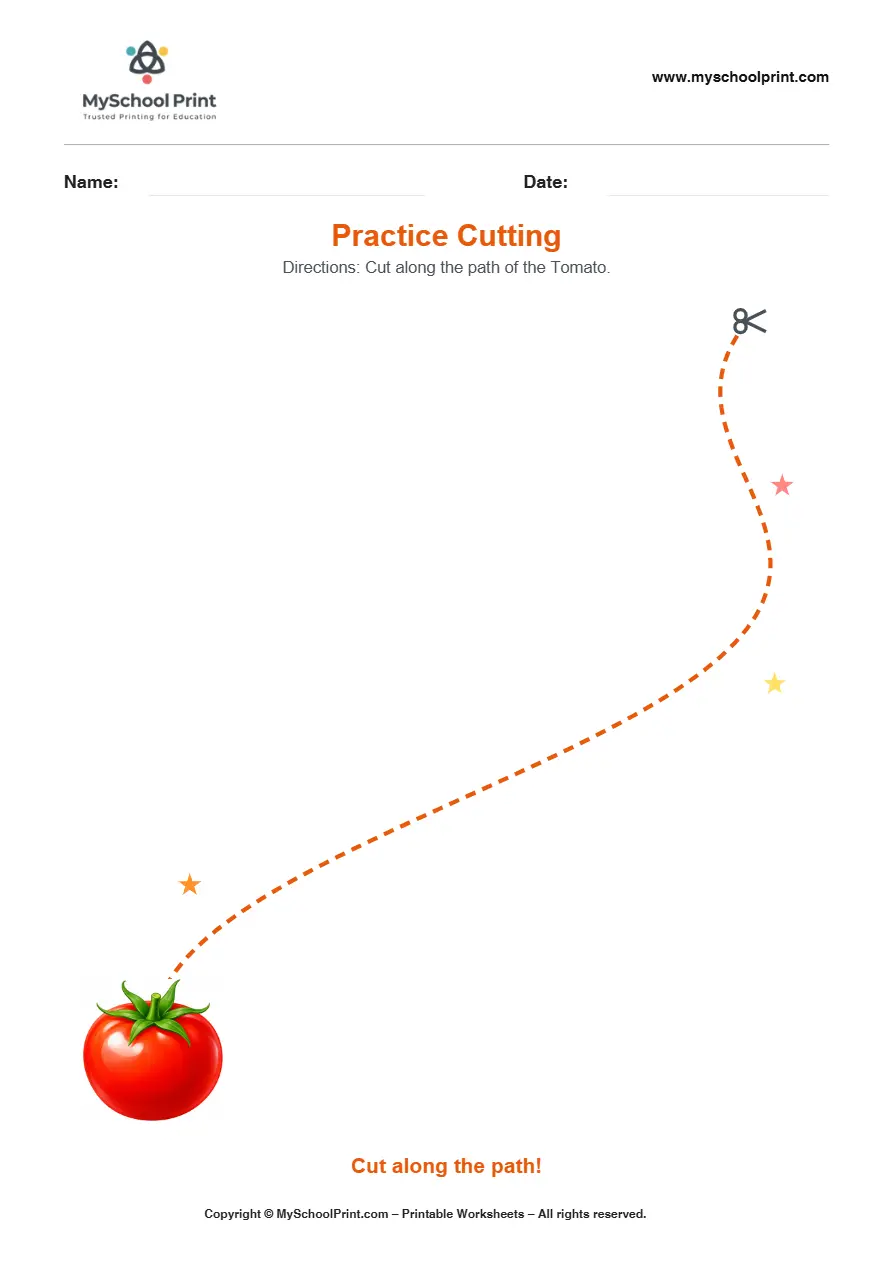 Scissor activity worksheet 16 for kids